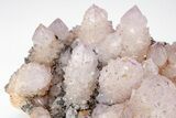 Cactus Quartz (Amethyst) Crystal Cluster - South Africa #207556-3